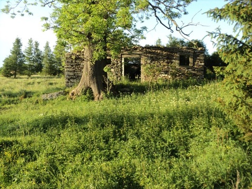 Orlické Záhoří